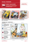 visual standard, heavy machinery, mobile equipment, site safety, safety illustrations